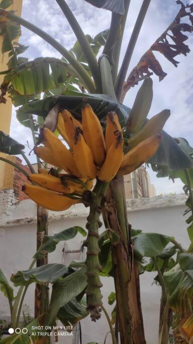 4 - Acogedora Junto A Ruzafa Con Bano Privado Y Aire Acondicionado * Valenza